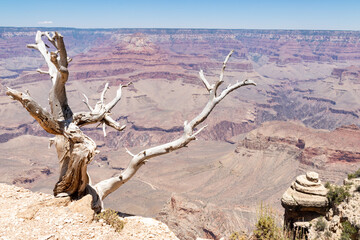 landscape of grand canyon arizona