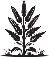 Black Corn Plant Silhouette Design