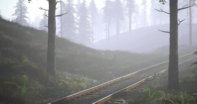 Misty morning reveals railway tracks weaving through a serene forest, trees standing tall on either side, invoking a sense of tranquility and adventure in natures embrace.