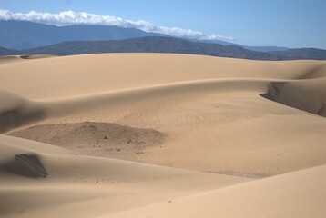The Paraguaná Peninsula and Médanos de Coro National Park offer a fascinating combination of desert landscapes, coastal ecosystems, and historical significance.