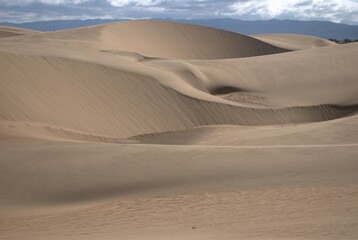 The Paraguaná Peninsula and Médanos de Coro National Park offer a fascinating combination of desert landscapes, coastal ecosystems, and historical significance.