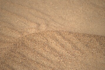The Paraguaná Peninsula and Médanos de Coro National Park offer a fascinating combination of...