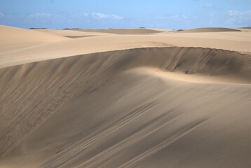 The Paraguaná Peninsula and Médanos de Coro National Park offer a fascinating combination of desert landscapes, coastal ecosystems, and historical significance.