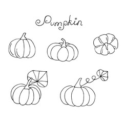 Pumpkin set hand drawing, vector illustration outline