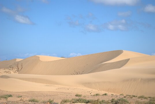 The Paraguan&aacute; Peninsula and M&eacute;danos de Coro National Park offer a fascinating combination of desert landscapes, coastal ecosystems, and historical significance.