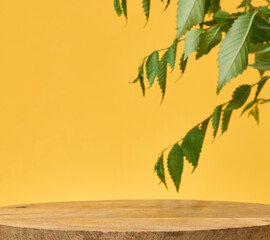 Round wooden podium with a branch with green leaves hanging from above. Yellow background