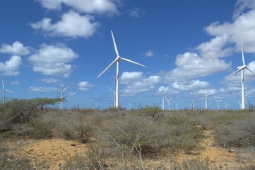 Wind energy in Venezuela.
Venezuela has enormous potential to produce clean energy, one of them is wind energy.