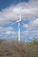 Wind energy in Venezuela.
Venezuela has enormous potential to produce clean energy, one of them is wind energy.