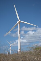 Wind energy in Venezuela.
Venezuela has enormous potential to produce clean energy, one of them is wind energy.