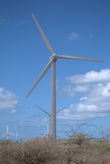 Wind energy in Venezuela.
Venezuela has enormous potential to produce clean energy, one of them is wind energy.