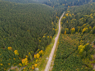 Serene winding road through vibrant autumn forest with golden leaves and soft sunlight