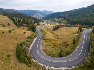 Serene winding road through vibrant autumn forest with golden leaves and soft sunlight