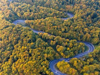 Serene winding road through vibrant autumn forest with golden leaves and soft sunlight