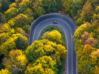 Serene winding road through vibrant autumn forest with golden leaves and soft sunlight