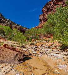 Cottonwood Creek Running Through Lower Hackberry Canyon, Grand Staircase-Escalante National...