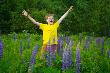A boy in a yellow T-shirt is happily exploring a meadow filled with purple lupines.