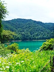 blue coloured lake goy gol in azerbaijan ,reserved park .High quality © Rana