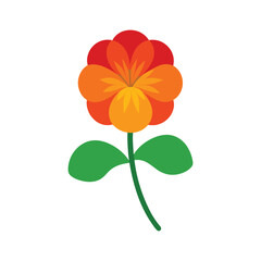 Nasturtium garden flower with vibrant petals for natural botanical themes Vector illustration on white background.