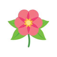 Primrose vibrant spring bloom perfect for botanical and seasonal design Vector illustration on white background.