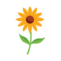 Rudbeckia wildflower with sunny petals and rustic charm for floral art Vector illustration on white background.