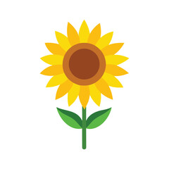 Obraz premium Sunflower bold yellow bloom with round shape ideal for nature themes Vector illustration on white background.