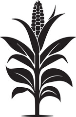 Tall Corn Plant Silhouette in Bloom