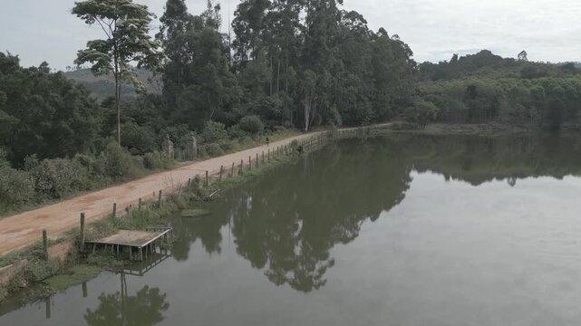 Parque Natural Trilha na Floresta Estrada de Terra Corrida de Trilha Ciclismo de Montanha Cidade do Interior Paisagem Rural Caminho na Natureza Estrada de Cascalho Esporte ao Ar Livre Vegeta&ccedil;&atilde;o Nativa