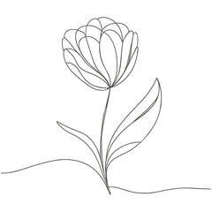 The tulip is drawn in one continuous line, vector