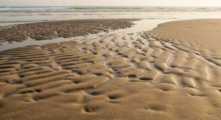 Fototapeta premium Sandy beach with tidal patterns and gentle waves in sunlight 