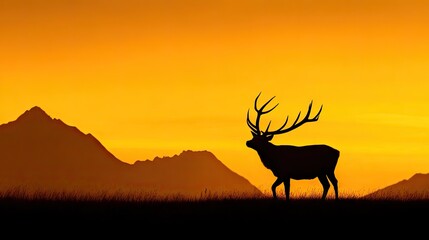 Silhouette of a deer at sunset over a mountain range.