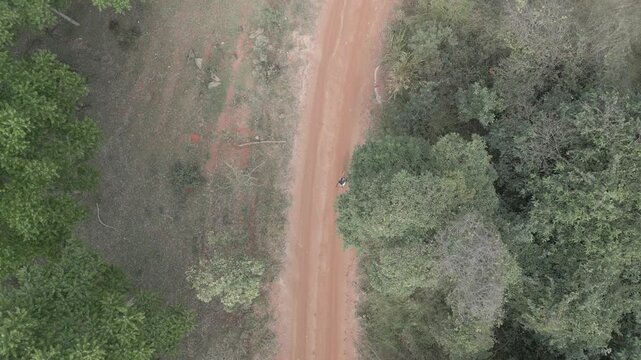 Parque Natural Trilha na Floresta Estrada de Terra Corrida de Trilha Ciclismo de Montanha Cidade do Interior Paisagem Rural Caminho na Natureza Estrada de Cascalho Esporte ao Ar Livre Vegeta&ccedil;&atilde;o Nativa