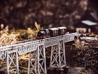 A miniature steam locomotive crosses a silver truss bridge surrounded by autumn vegetation. The black engine pulls green wagons.
