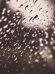  Close-up of raindrops with pink shimmer – atmospheric light refraction.