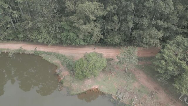 Parque Natural Trilha na Floresta Estrada de Terra Corrida de Trilha Ciclismo de Montanha Cidade do Interior Paisagem Rural Caminho na Natureza Estrada de Cascalho Esporte ao Ar Livre Vegeta&ccedil;&atilde;o Nativa