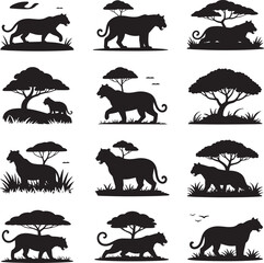 Black silhouettes of big cats and acacia trees in savanna landscape lion
