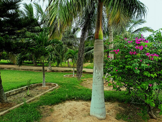 Lush greenery, vibrant garden, charming farmhouse, and green trees under a clear sky