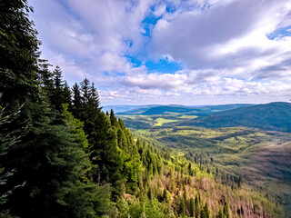 Fototapeta premium Densely forested hills under a blue sky – harmonious view over mountain and forest areas.