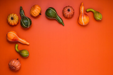 Decorative mini pumpkins and squashes placed on the right edge of the frame against a bright orange background symbolize the fall season, Halloween and Thanksgiving. Autumn composition