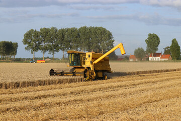 a beautiful rural landscape of a wheat field with a yellow combine harvester and trees and a blue sky in the background at a summer evening