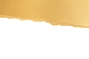 Torn gold paper with transparent background
