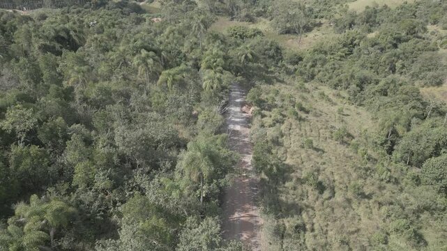 Parque Natural Trilha na Floresta Estrada de Terra Corrida de Trilha Ciclismo de Montanha Cidade do Interior Paisagem Rural Caminho na Natureza Estrada de Cascalho Esporte ao Ar Livre Vegeta&ccedil;&atilde;o Nativa