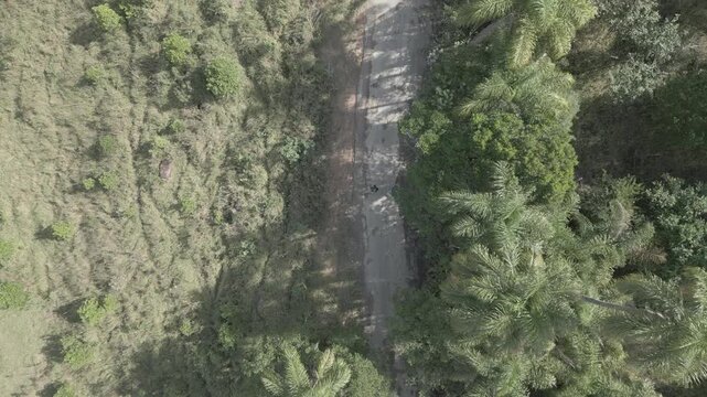 Parque Natural Trilha na Floresta Estrada de Terra Corrida de Trilha Ciclismo de Montanha Cidade do Interior Paisagem Rural Caminho na Natureza Estrada de Cascalho Esporte ao Ar Livre Vegeta&ccedil;&atilde;o Nativa