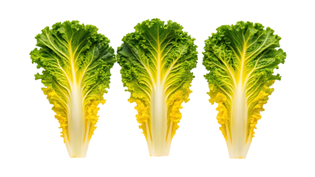 Three fresh green lettuce leaves with yellow stems arranged vertically isolated on transparent background