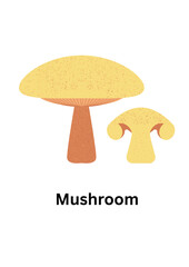 Stylized illustration of a whole and sliced mushroom isolated on white background