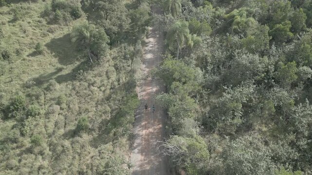 Parque Natural Trilha na Floresta Estrada de Terra Corrida de Trilha Ciclismo de Montanha Cidade do Interior Paisagem Rural Caminho na Natureza Estrada de Cascalho Esporte ao Ar Livre Vegeta&ccedil;&atilde;o Nativa