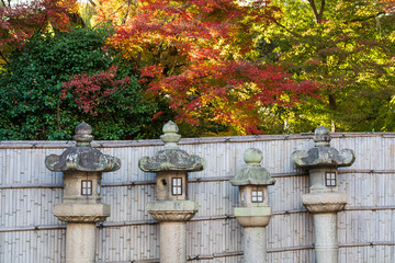 Yawata, Kyoto, Japan - December 5 2024 : Stone lanterns stand among the autumn foliage at Iwashimizu Shrine.