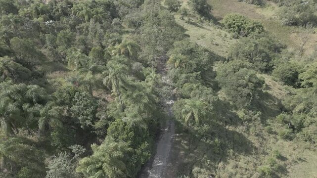 Parque Natural Trilha na Floresta Estrada de Terra Corrida de Trilha Ciclismo de Montanha Cidade do Interior Paisagem Rural Caminho na Natureza Estrada de Cascalho Esporte ao Ar Livre Vegeta&ccedil;&atilde;o Nativa