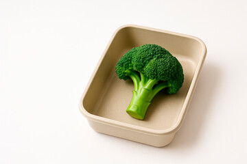 One broccoli in a container on a light background. Space for text.