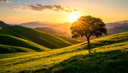Sunset over rolling hills with lone tree.