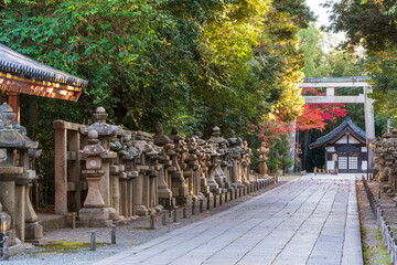 Yawata, Kyoto, Japan - December 5 2024 : The stone-paved approach to Iwashimizu Shrine, featuring stone lanterns, torii gate, and autumn foliage.